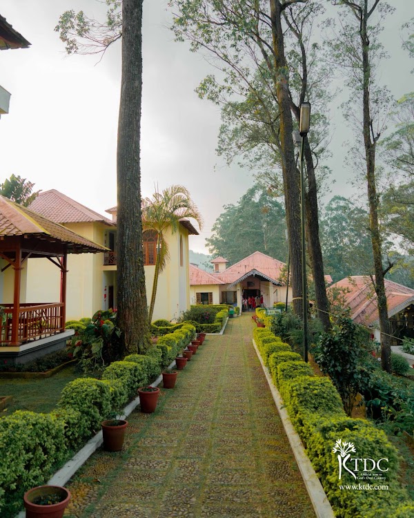 Tea County Munnar - Super Premium
