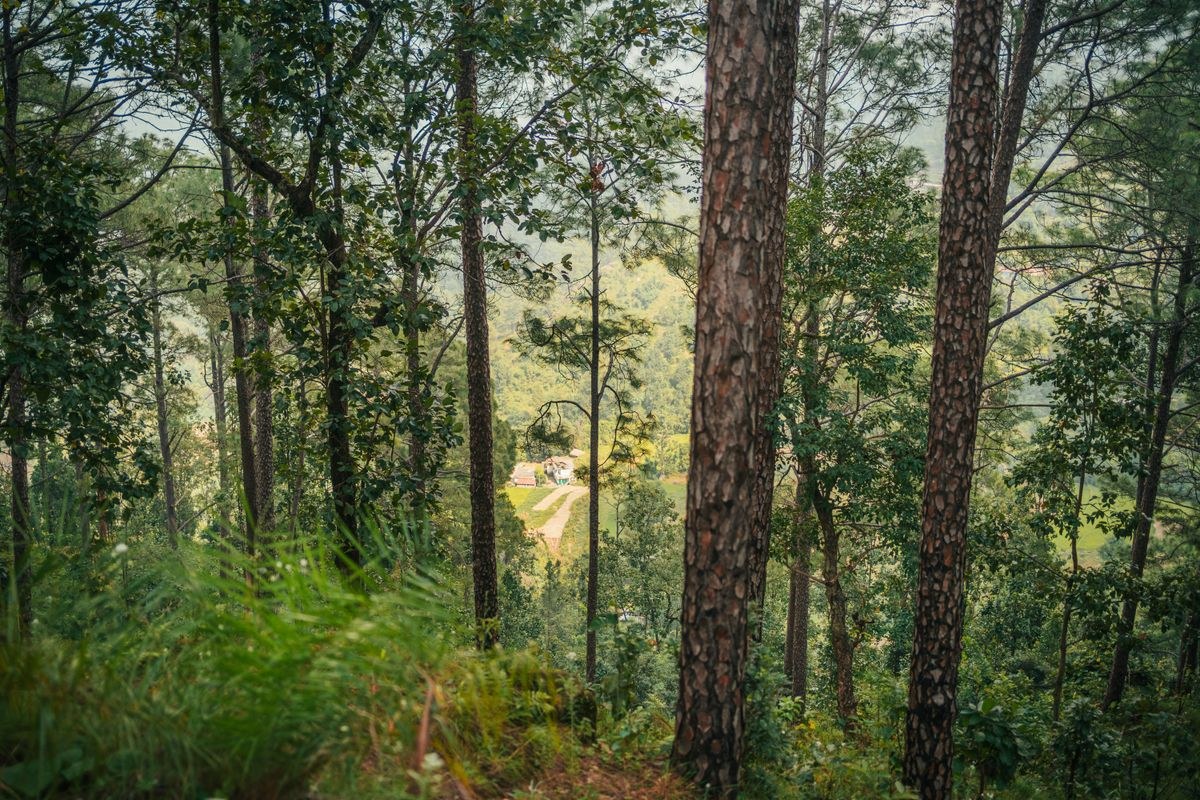 Complete Uttarakhand Tour Package – Mussoorie, Rishikesh, Jim Corbett & Nainital