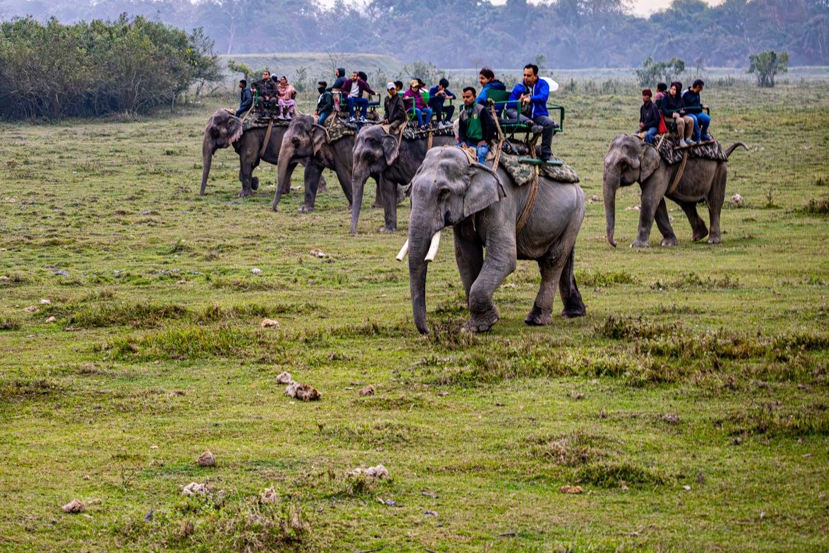 Assam